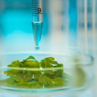 biochemistry - food stock pictures, royalty-free photos & images