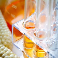 biofuel or corn syrup - food stock pictures, royalty-free photos & images