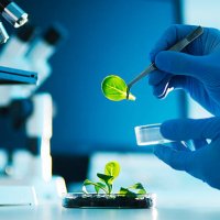 biotechnology - food stock pictures, royalty-free photos & images