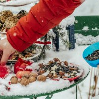 bird feeder - garden decoration stock pictures, royalty-free photos & images