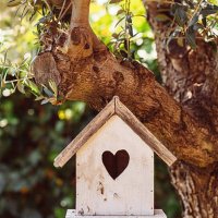 bird house in tree - garden decoration stock pictures, royalty-free photos & images