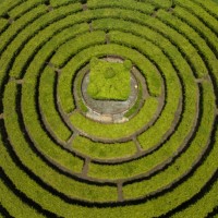 bird's-eye view of the maze garden - garden decoration stockfoto's en -beelden