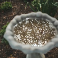 birdbath reflaction - garden decoration stock pictures, royalty-free photos & images