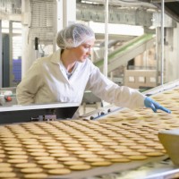 biscuit factory worker inspecting freshly made biscuits on production line - food stock pictures, royalty-free photos & images