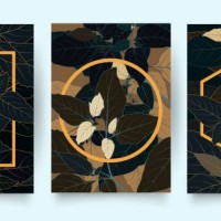 black and gold cover template and tropic pattern set. collection of tropical backgrounds in simple minimal flat style with jungle plants leaves, - garden decoration stock illustrations