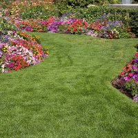 blank blue screen background image - garden decoration stock pictures, royalty-free photos & images