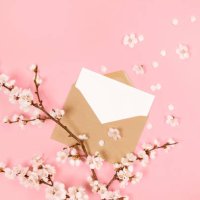 blank white card and craft paper envelope on on pastel pink background with spring cherry flowers. top view, flat lay, copy space. - garden decoration stock pictures, royalty-free photos & images