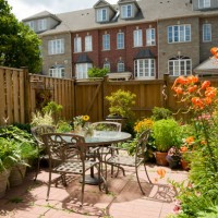 blooming tigre lys dans un jardin - garden decoration photos et images de collection