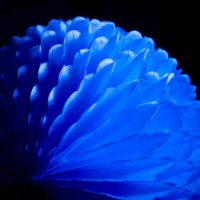 blue - garden decoration stock pictures, royalty-free photos & images