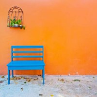 blue wooden bench and a hanging plant against orange color wall - garden decoration stock pictures, royalty-free photos & images