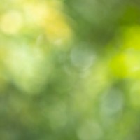 blur abstract background - garden decoration stock pictures, royalty-free photos & images
