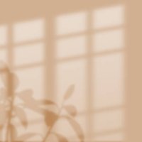 blurred flowers shadow wall pastel beige background. - home decoration stock pictures, royalty-free photos & images