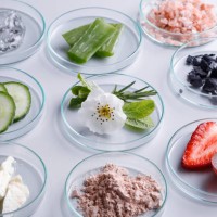 boîtes de petri avec des ingrédients cosmétiques biologiques - food photos et images de collection