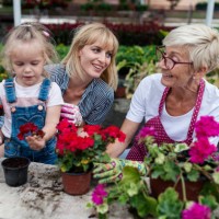 botanical garden, family business - garden decoration stock pictures, royalty-free photos & images