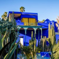 botanical garden jardin majorelle in marrakesh, morocco - garden decoration stock pictures, royalty-free photos & images