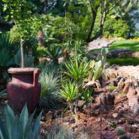 botanical garden on brissago island, lake maggiore - garden decoration stock pictures, royalty-free photos & images