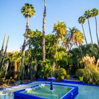 botanischer garten jardin majorelle in marrakesch, marokko - garden decoration stock-fotos und bilder
