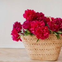bouquet red peonies in wicker basket - garden decoration stock pictures, royalty-free photos & images