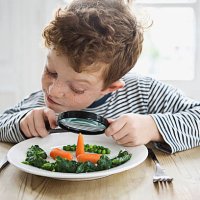 boy (7-9) peering over magnifying glass on dinner - food stock pictures, royalty-free photos & images