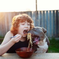 boy and dog eating ramen - food stock-fotos und bilder