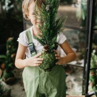 boy holding a small christmas tree and smiling behind - garden decoration stock pictures, royalty-free photos & images