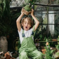 boy in front of a greenhouse holding a christmas tree over his head with mouth open - garden decoration stock pictures, royalty-free photos & images