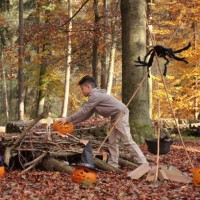 boy is diligently preparing a halloween party set up in the woods. - home decoration stock pictures, royalty-free photos & images