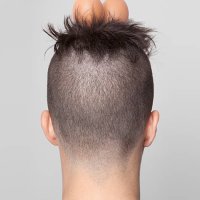 boy with hair in nest shape and two eggs - hairstyle stock pictures, royalty-free photos & images