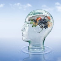 brain foods - food stock pictures, royalty-free photos & images