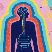 brain gut connection abstract health and science concept with silhouette of human with brain and intestine surrounded by gut bacterium and science elements - junk food stock illustrations