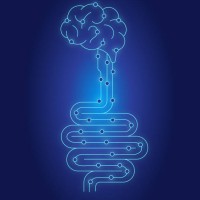 brain gut connection health concept human intestine with bacteria on blue gradient background - junk food stock illustrations
