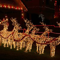 brightly lit christmas reindeer - garden decoration stock pictures, royalty-free photos & images
