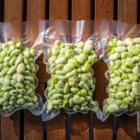 broad beans also lima beans peeled in vacuum sealed plastic bag ready to be frozen - food stock pictures, royalty-free photos & images