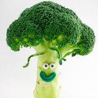 broccoli portrait - food stock pictures, royalty-free photos & images