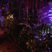 bruce munro at the garden - garden decoration stock pictures, royalty-free photos & images