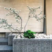 building facade - garden decoration stock pictures, royalty-free photos & images