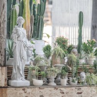 cactus and earth pot on old wall - garden decoration stock pictures, royalty-free photos & images