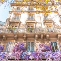 cafe in a paris corner decorated with purple flowers. - home decoration stock pictures, royalty-free photos & images