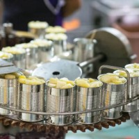 canned pineapple production line, thailand - food photos et images de collection