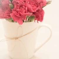 carnations 06 - garden decoration stock pictures, royalty-free photos & images