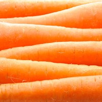 carrot - food stock pictures, royalty-free photos & images