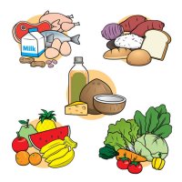 cartoon 5 food groups nutrition picture for children this is a vector illustration for preschool and home training for parents and teachers. - food stock illustrations