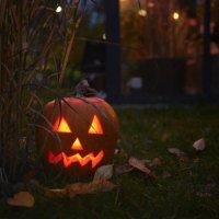carved jack-o-lanterns in garden - garden decoration stock pictures, royalty-free photos & images