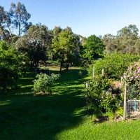 castlemaine, victoria, australia. - garden decoration stock pictures, royalty-free photos & images