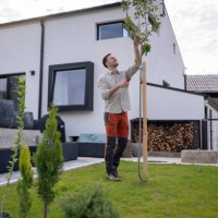caucasian gardener using pruning shears to prune the tree in the garden - garden decoration stock pictures, royalty-free photos & images
