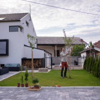 caucasian professional gardener using pruning shears to prune the tree in the garden - garden decoration stock pictures, royalty-free photos & images