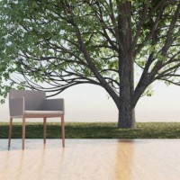 chair on wooden floor, garden background with tree. - garden decoration stock pictures, royalty-free photos & images