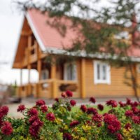 charming autumn landscape opening behind delicate dahlia bushy with red flowers growing on foreground in front of gorgeous wooden house. - garden decoration stock pictures, royalty-free photos & images