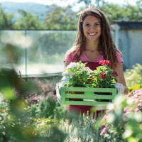 charming florist preparing customer’s order - garden decoration stock pictures, royalty-free photos & images