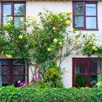 charming norfolk cottage - garden decoration stock pictures, royalty-free photos & images